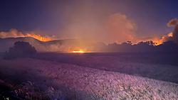 Click image for larger version

Name:	coralfire-calfire.jpg
Views:	0
Size:	116.7 KB
ID:	2382268